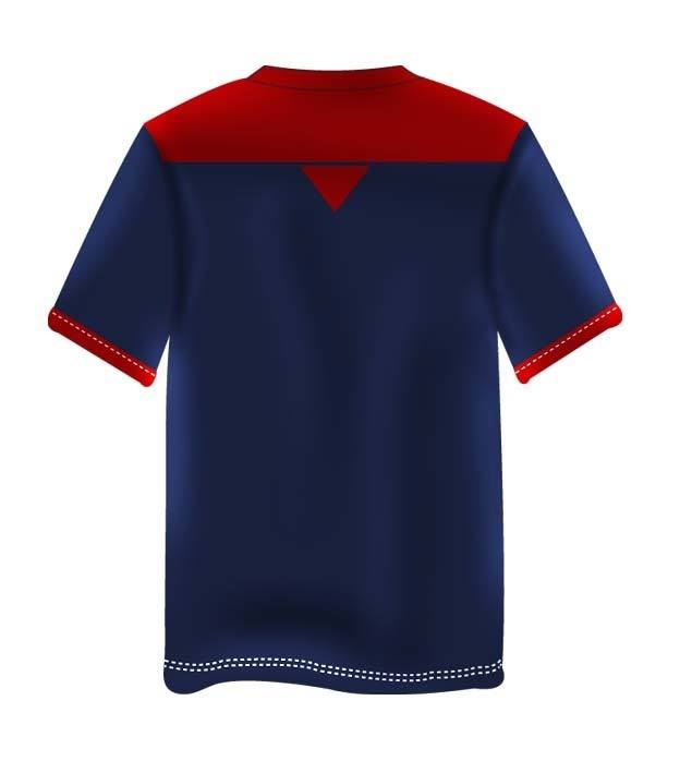 England Cricket T-shirt World Cup | T20 | Test Match | T-Shirt all sizes Available